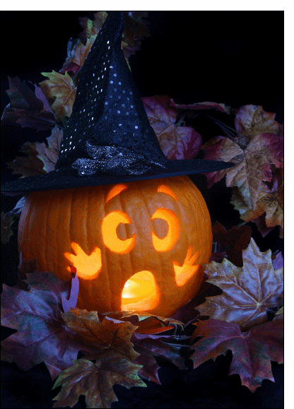 La visite de mon cousin Al O'Ween
