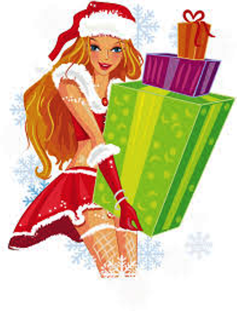 Préparez Noël avec les colis surprises de Rosalie