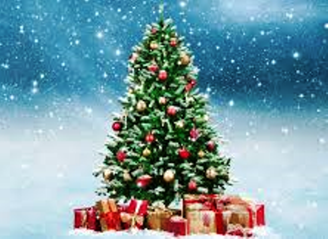 Préparez Noël avec les colis surprises de Rosalie