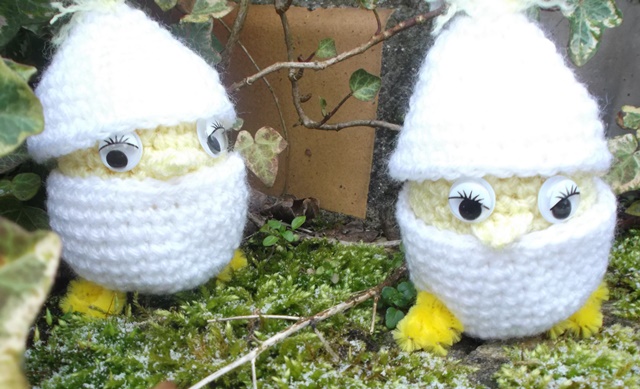 des petits poussins tout doux pour nos poussins tout mignons