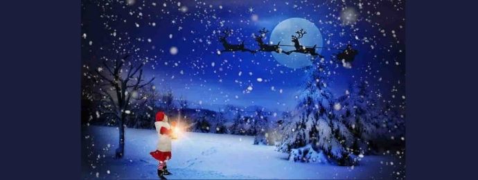 Je vous souhaite un Très bon Noël 2020