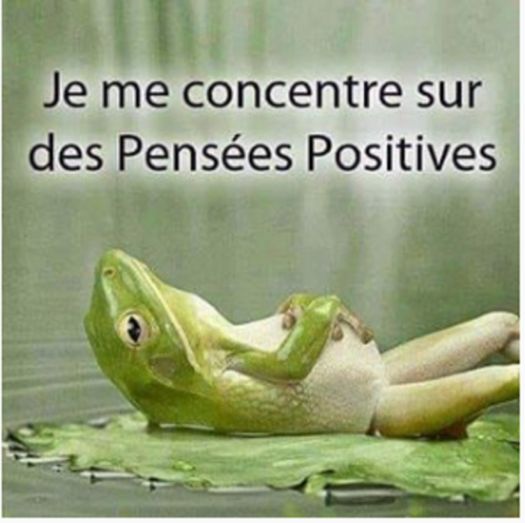 Je vous souhaite un très bon 15 Août