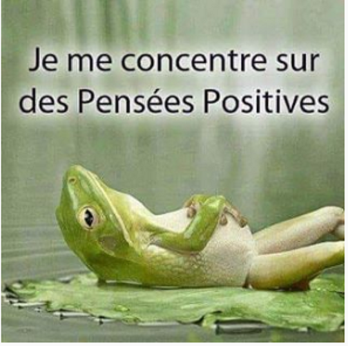 Je vous souhaite un très bon 15 Août
