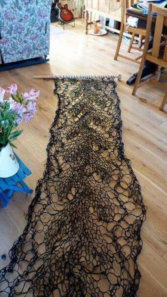 Quand la folie est de toute beauté