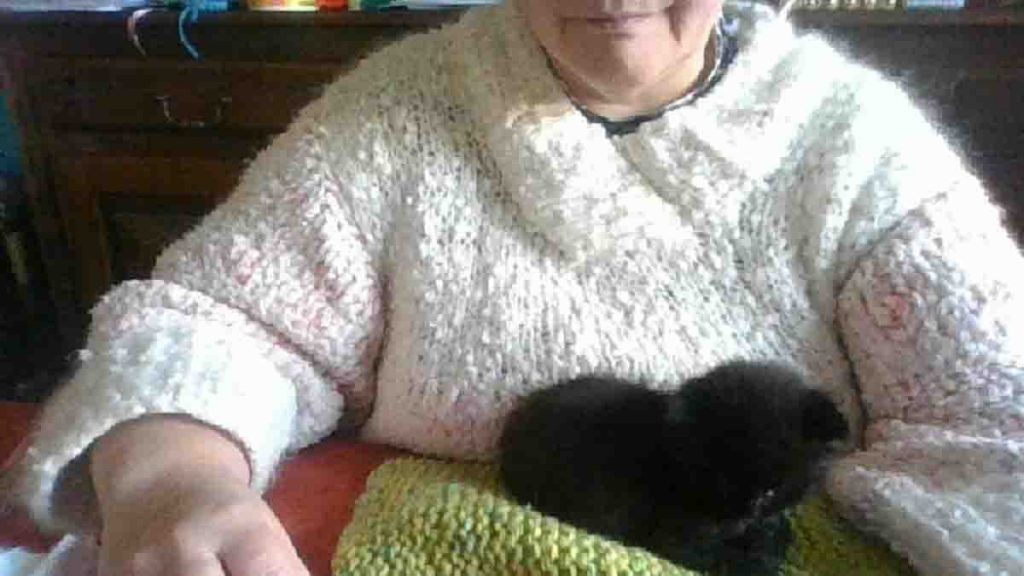 Création facile au crochet