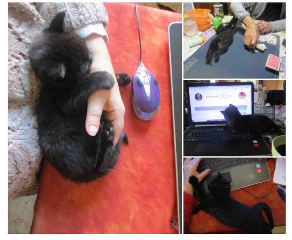 Création facile au crochet