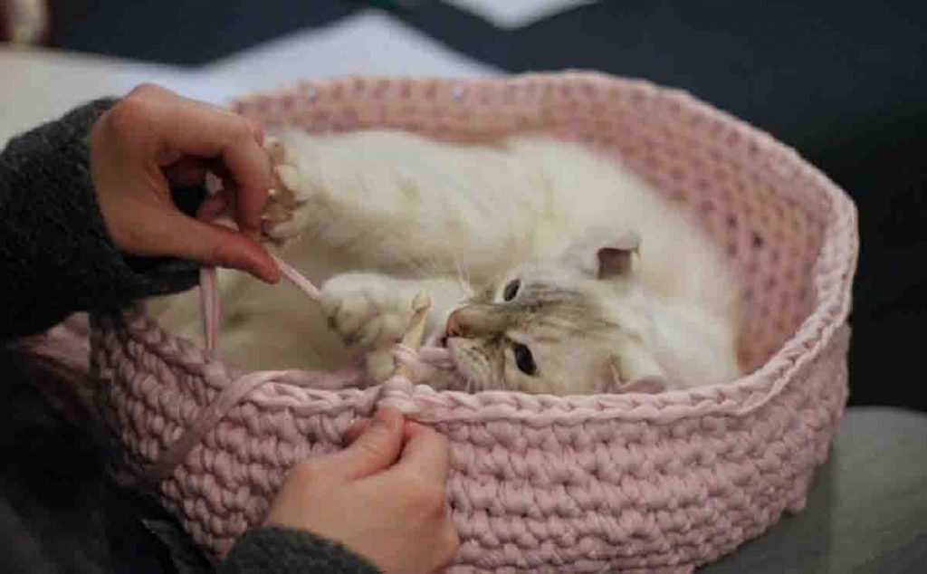 Création facile au crochet