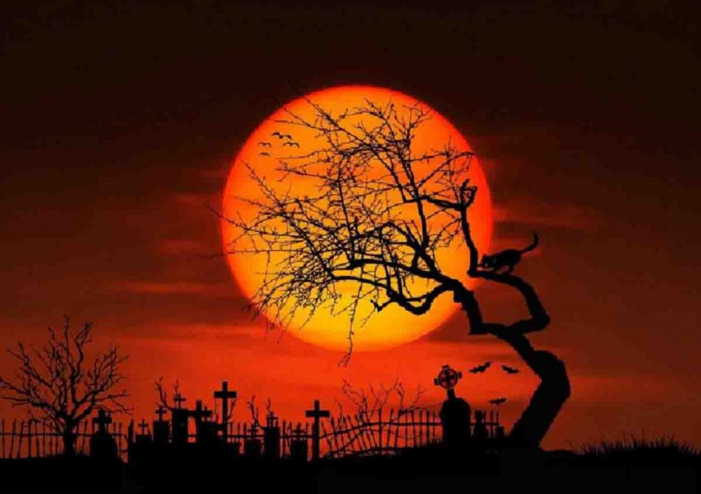 Halloween 2020
