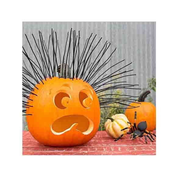 La visite Dhal O'Ween
