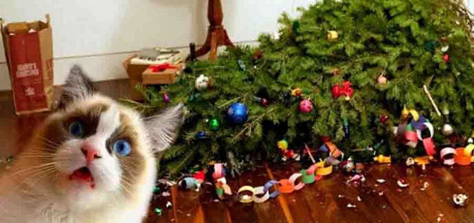 Bon Noël 2021 (1)