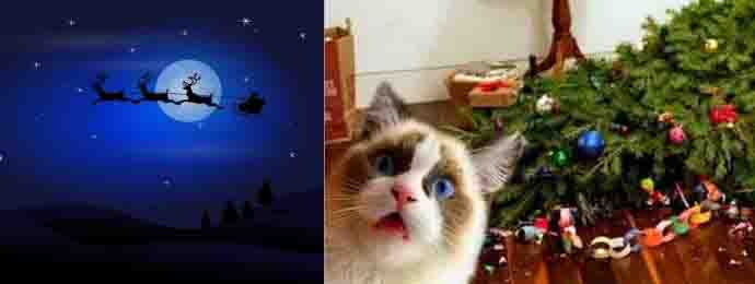 Bon Noël 2021