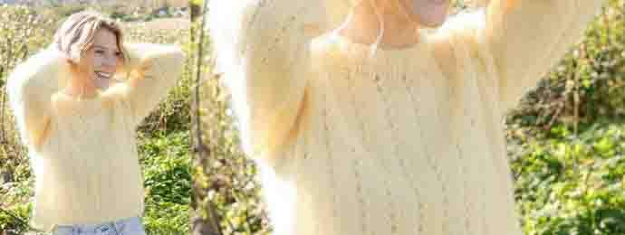 Le pull classique du printemps (1) (1)